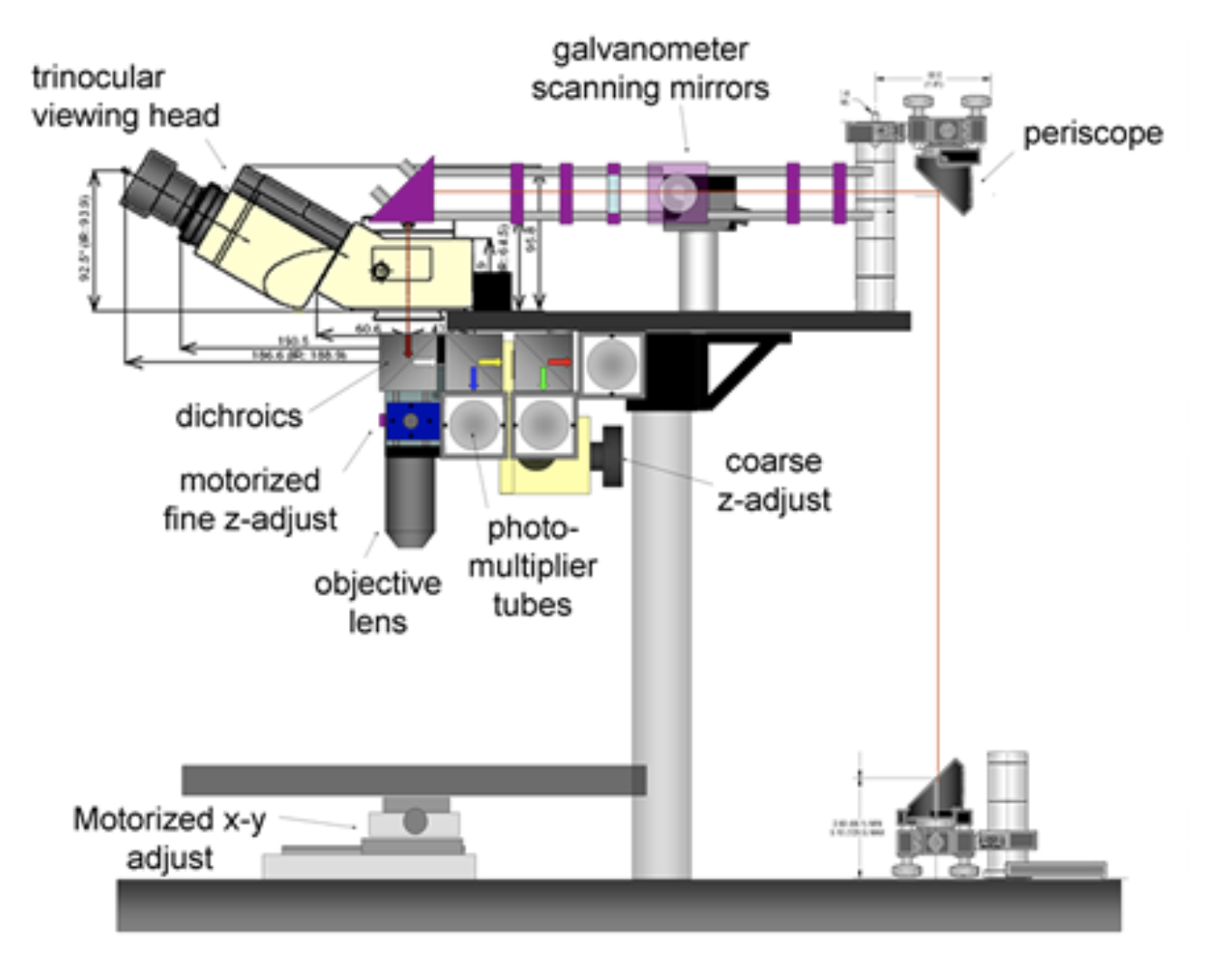 sdOur in-vivo two-photon microscopy system was designed to allow high-speed imaging of 3 or more sources of contrast in living tissue. The system can also perform hyperspectral microscopy. For more information see Radosevich et al 2008, Hillman 2007and Bouchard et al 2006.