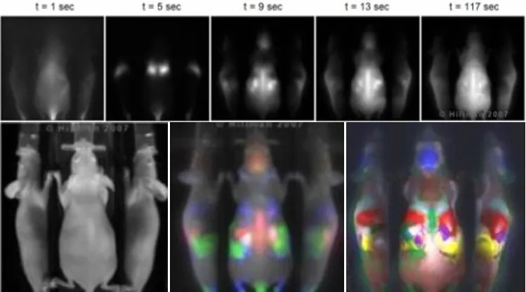 Dynamic Contrast Enhanced small animal imaging (DyCE)