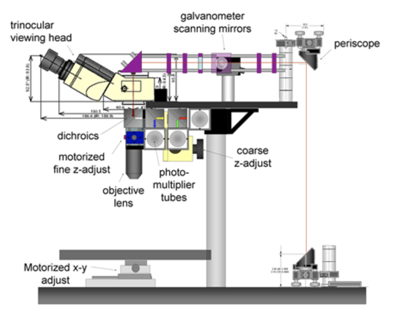 Our in-vivo two-photon microscopy system was designed to allow high-speed imaging of 3 or more sources of contrast in living tissue. The system can also perform hyperspectral microscopy. For more information see Radosevich et al 2008, Hillman 2007 and Bouchard et al 2006. sdOur in-vivo two-photon microscopy system was designed to allow high-speed imaging of 3 or more sources of contrast in living tissue. The system can also perform hyperspectral microscopy. For more information see Radosevich et al 2008, Hillman 2007and Bouchard et al 2006.
