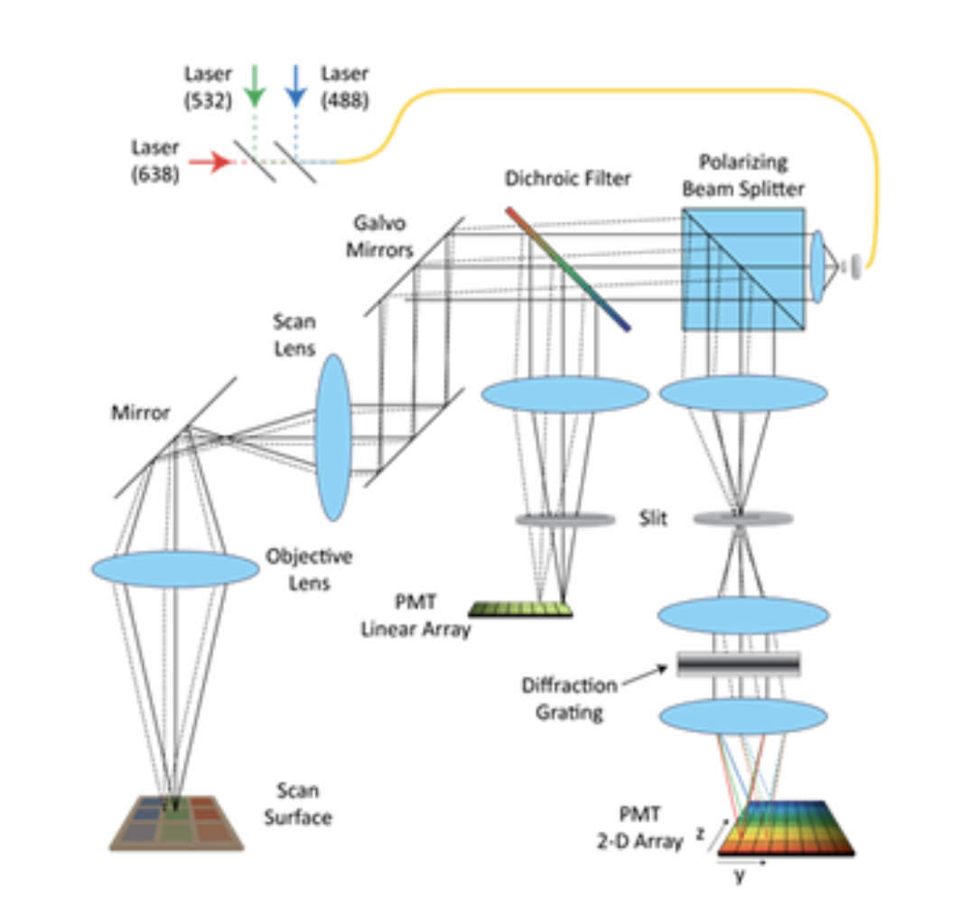Laminar Optical Tomography is capable of 3D imaging of absorption at three wavelengths and fluorescence simultaneously at frame rates of over 100Hz. For more information see Burgess et al 2008 and Yuan et al 2009.