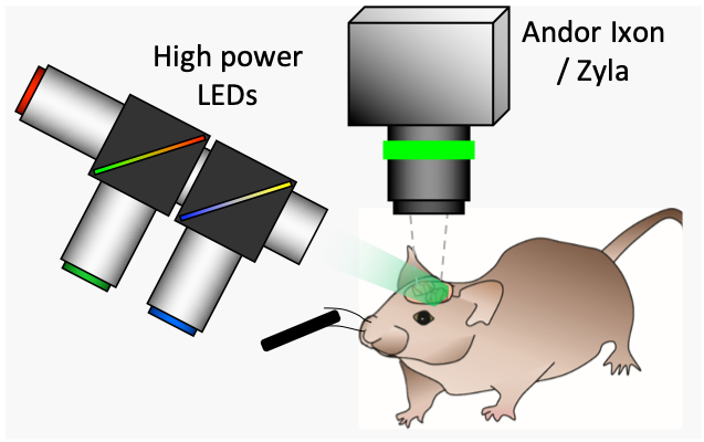 Schematic of our WFOM system